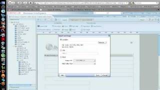 BICG Webinar Series OBIEE 11g BI Publisher Overview  Part 4 of 5 [upl. by Lleral]