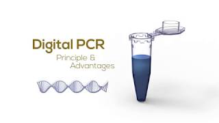 Digital PCR Principle amp Advantages [upl. by Onabru]