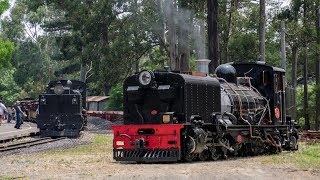 Double Headed Garratt Locomotives on the Puffing Billy Railway  Official Launch of NGG16 129 [upl. by Clapper]