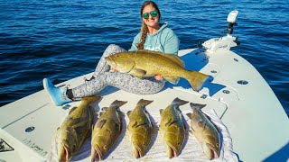 EASY BIG Grouper LIMITS Catch Clean amp Cook Crystal River Florida [upl. by Arykahs769]