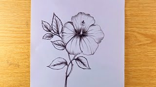 Pencil Drawing flowers easy  How to draw flowers  Flower drawing [upl. by Regdor294]