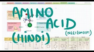 Amino acid HINDI [upl. by Utimer]