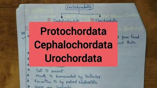 ProtochordataCephalochordata Urochordata [upl. by Nosral966]