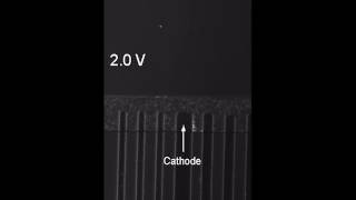 Photoelectrochemical ion concentration polarization [upl. by Sandye16]