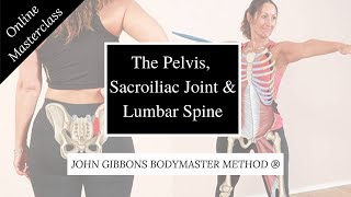 Pelvis Sacroiliac Joint amp Lumbar Spine Online Masterclass with John Gibbons  Bodymaster [upl. by Reeva988]