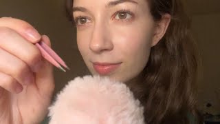 ASMR bug searching amp tingly triggers ✨ [upl. by Suoirtemed]