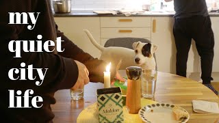 Oslo Norway Slow city life with a dog  Silent vlog  Thoughts on work  life balance [upl. by Felty]