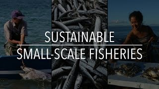 FAO Policy Series Sustainable SmallScale Fisheries [upl. by Salamone]