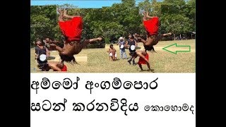 Angampora  Ancient Sri Lankan Martial Art [upl. by Aurel]