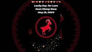 Ram l Sheep l Goat Predictions May 18 2024 Lucky Day for Love chineseastrology [upl. by Rebmik644]