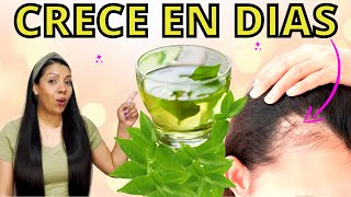 EL CABELLO CRECE COMO LOCO Y NO SE CAE😱LA MEJOR RECETA DEL MUNDO PARA CRECER CABELLO😍 [upl. by Eelyak374]