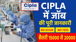 Cipla recruitment 2022  B Pharma Job Baddi Himachal Job  job vacancy 2022 [upl. by Viafore]