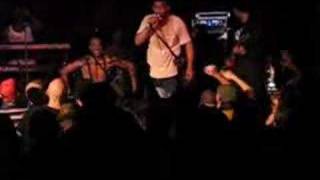 Fishbone Funk Live  The Dame [upl. by Cowie787]