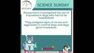 Can trazodone help your dog [upl. by Sheline249]