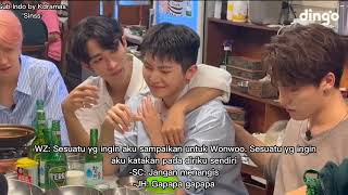 SUB INDO SEVENTEEN Tipsy Live Dingo [upl. by Hgalehs225]