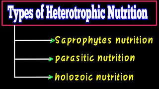 types of heterotrophic nutrition  What is heterotrophic nutrition  Life Processes Class 10 CBSE [upl. by Ahsirahc]