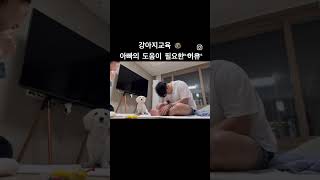 아빠 유튜브만 보고 있길래 교육 참여하라고소환 ㅋㅋㅋㅋ 아빠가 참여하니까 진짜 되네요 신기방기❤️ 강아지인사 강아지교육 닥스훈트 강아지일상 [upl. by Mixam263]