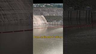 Dam opening amp complete sediment flushing process [upl. by Lecroy572]