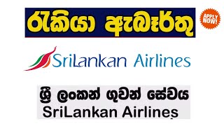 Airport Job Vacancies in Sri Lanka  Airport Jobs in Sri Lanka 2024 [upl. by Beberg]