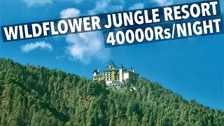 Inside Shimla’s Most Iconic Jungle Resort  WildFlower [upl. by Moffitt]