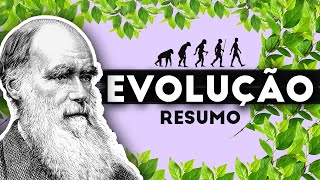 TEORIA DA EVOLUÇÃO  RESUMO DO QUE VOCÊ PRECISA SABER [upl. by Ettenaj528]