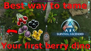 Ark Survival Ascended Your FIRST Berry Dino Ark berry farm Easiest Berry Dino Farm Early Game [upl. by Tab]