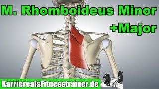 M Rhomboideus Minor amp Major Ansatz Ursprung Funktion Prüfungsstoff [upl. by Akimert]