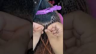 20252024 Knotless Twist Braids protective hairstyles hairstyleknotless braids twisthairstyle [upl. by Bultman]