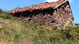 Ataques de lobos en Asturias [upl. by Llejk]