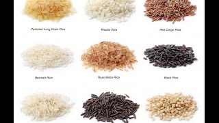 8 Varieties of Rice With Rich Benefits [upl. by Lietman286]