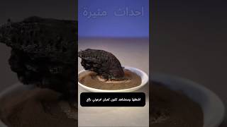 quotظواهر علمية عجيبة قد لا تصدقهاquot [upl. by Melodee]