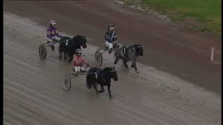 Åbytravet 2024 10 20 Ponny Lopp 6 [upl. by Amuwkuhc]