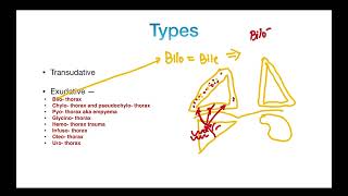 Pleural Effusion  Types  TRANSUDATE versus EXUDATE  Clinical Features  PART 2 [upl. by Aip]