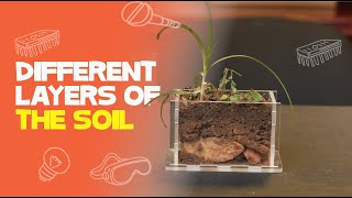 Soil Layers And Horizons  Soil Science [upl. by Arednaxela]