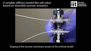 Tendrillike soft robot based on reversible osmotic actuation [upl. by Ehcnalb]