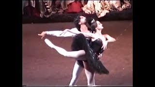 Tsiskaridze amp Stepanenko  Black Swan PDD Variations amp Coda [upl. by Hniht]