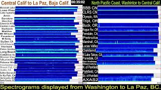 Live Washington State to Baja California West Coast Earthquake Monitor [upl. by Nacim]