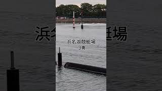 浜名湖競艇初日３R [upl. by Ettenauq]