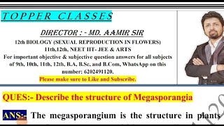 Describe the structure of Megasporangia [upl. by Soisatsana]