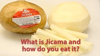 Jicama [upl. by Sacul]