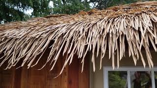 Artificial Thatch Roofing [upl. by Auqinehs719]