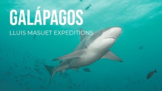 BUCEO EN GALÁPAGOS  UNA EXPLOSIÓN DE NATURALEZA [upl. by Masterson568]