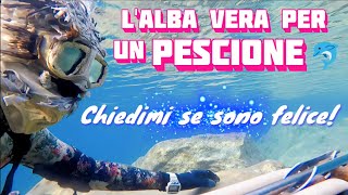 Pesca Sub LALBA VERA per un PESCIONE🐬  Chiedimi se sono Felice 😉 [upl. by Seto]