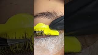 Eyelash lift lashes eyelashes eyelashlift eyelashlifting lashlifting eyelashextensions [upl. by Enibas]