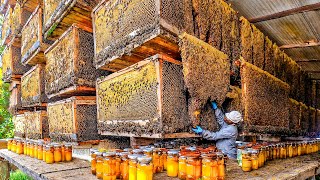 How Biggets Bee Farms Raise Billions Bees And Process Millions Tons Of Honey  Honey In Factory [upl. by Earezed]