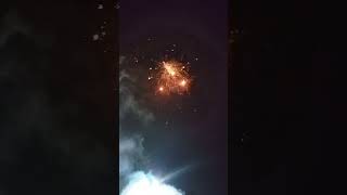 Polyplex Colony celebration 🎊🎉 happy diwali 🎇 sky shot [upl. by Juliana]