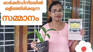 ഓർക്കിഡിൽ ഒളിഞ്ഞിരിക്കുന്ന സമ്മാനം orchid gift 999 plants [upl. by Ynaiffit655]