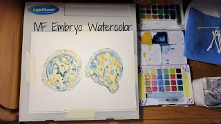 IVF Embryo Watercolor [upl. by Stormy438]