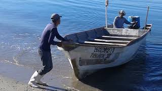 INSTALACIÓN DE JAULA MARINA AL MEDIO EN LA COSTA DE SONORA [upl. by Osy]