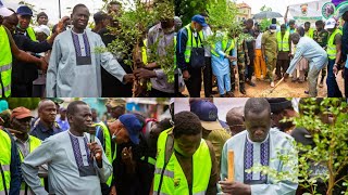 campagne nationale de reboisementLa mairie de Kaolack contribue à hauteur de 50000 plants [upl. by Jermain]